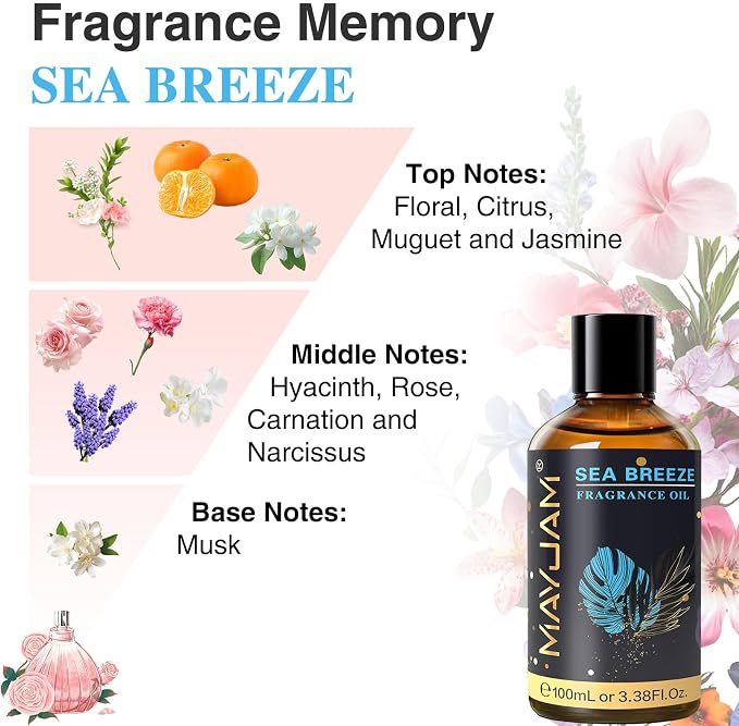 MAYJAM 100ML/3.38FL.OZ Sea Breeze Fragrance Oils with Glass Dropper, Essential Oils for Diffusers, Long Lasting Scented Oils for Soap Candle Making