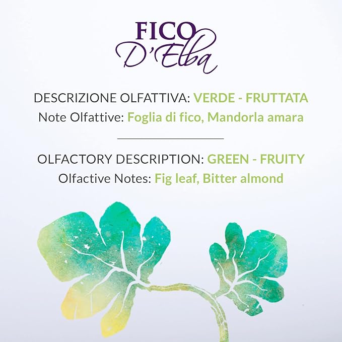 Elba's Fig Home Fragrance 250ml Diffuser
