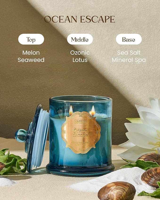 M&SENSE Ocean Escape Scented Candle 12.7oz Home Aromatherapy 2 Wick | Organic Soy, Non-Toxic, Unique Summer Fragrance, Gift for Women