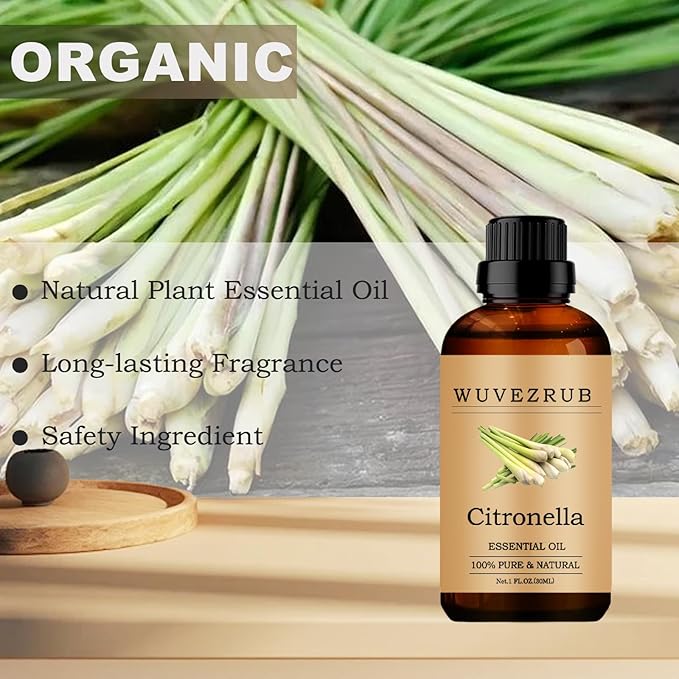 Citronella Essential Oils, 30ML Pure and Natural Essential Oil for Aromatherapy Diffuser - Citronella /1 Fl Oz