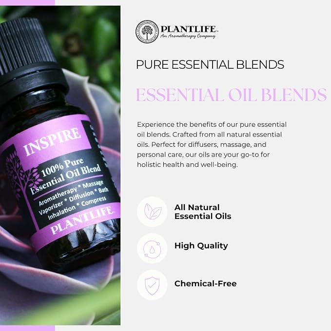 Plantlife Top Blends Set 3-Pack (Breath Easy, Calm, and Protect) Aromatherapy Essential Oil Set - No Additives or Fillers - Made in California 10 ml