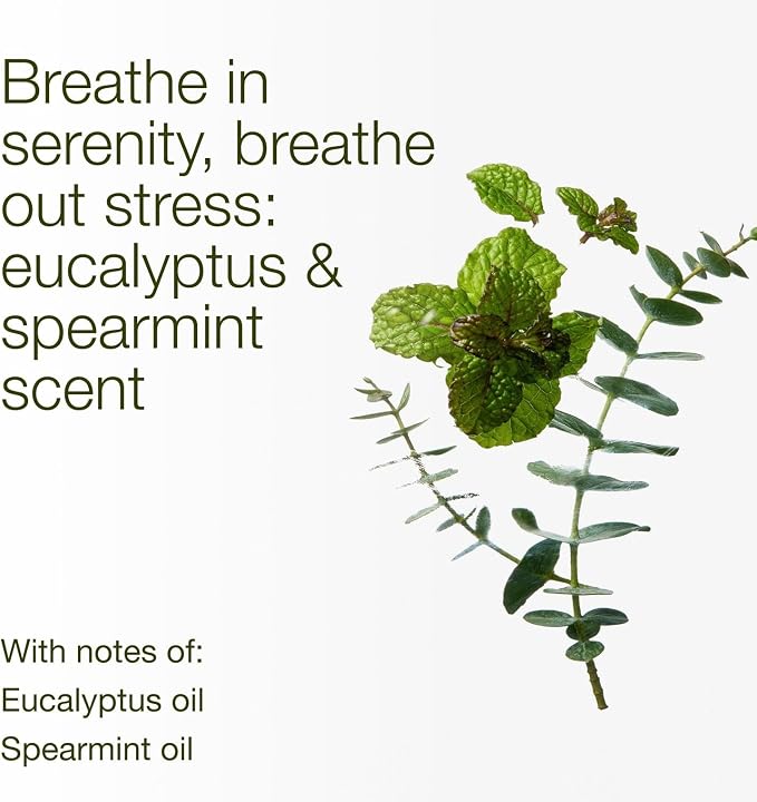 Bath & Body Works Eucalyptus Spearmint 3-Wick Candle - Scented Candle for At-Home Use - Long-Lasting, Room-Filling Fragrance - High Fragrance Oil Concentration - Soy Wax Blend