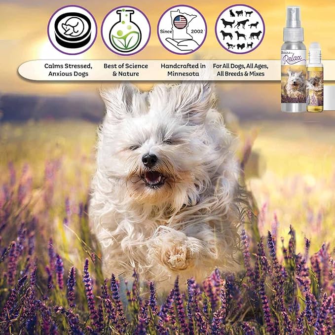 The Blissful Dog Havanese Relax Dog Aromatherapy Spray for Your Dog's Anxiety