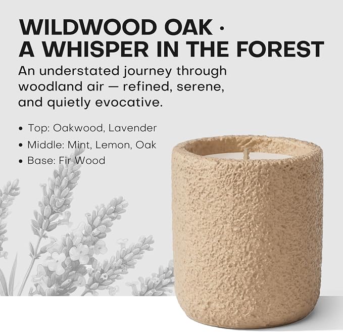 Scented Candles for Home, Natural Soy Wax Candle Gift, Non-Toxic Cement Jar Candles, Luxury Aromatherapy for Stress Relief, Highly Scented, Gifts for Women and Men