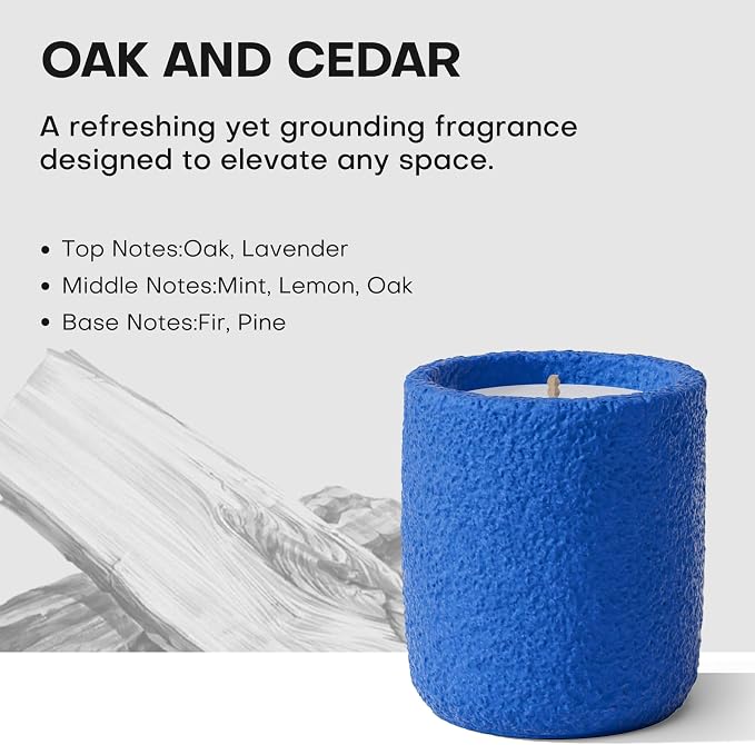 Scented Candles for Home, Natural Soy Wax Candle Gift, Non-Toxic Cement Jar Candles, Luxury Aromatherapy for Stress Relief, Housewarming Gifts, Highly Scented, Home Décor, Oak and Cedar