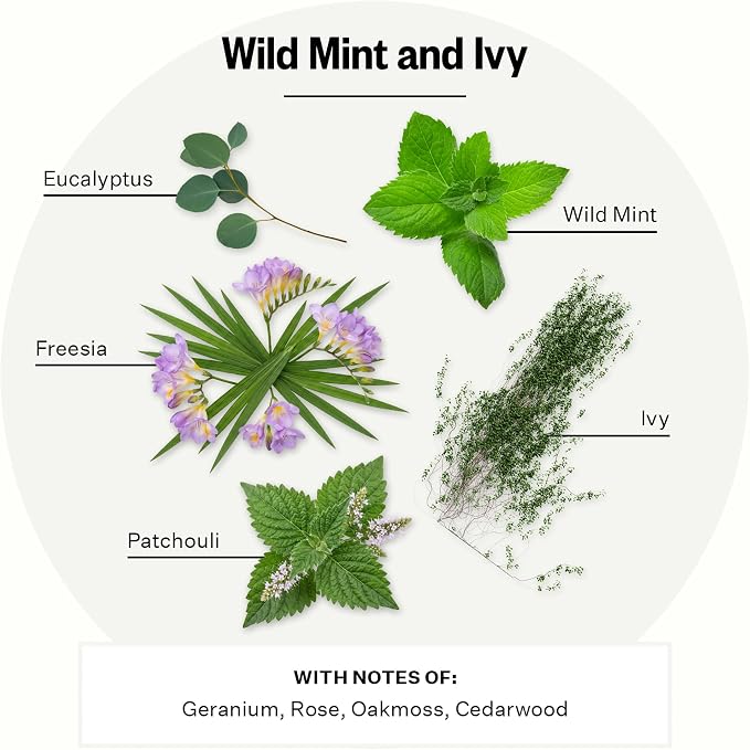 Apotheke Luxury Scented Oil Reed Diffuser Liquid Refill (Wild Mint & Ivy) - Premium Home Fragrance Diffuser Refill Set with Sticks
