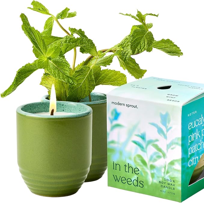 Modern Sprout - 2-in-1 Soy Candle & Planter - in The Weeds (Eucalyptus, Pink Pepper, Patchouli, Citrus) 6 Oz Scented Candle w/Mint Seeds - Ceramic Vessel Dual Purpose Jar - 38-40 Hour Burn