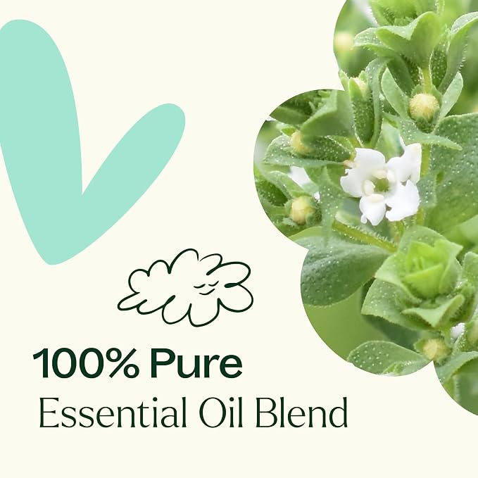 Plant Therapy Ache Away Essential Oil Blend 10 mL (1/3 oz) 100% Pure, Undiluted, Natural Aromatherapy