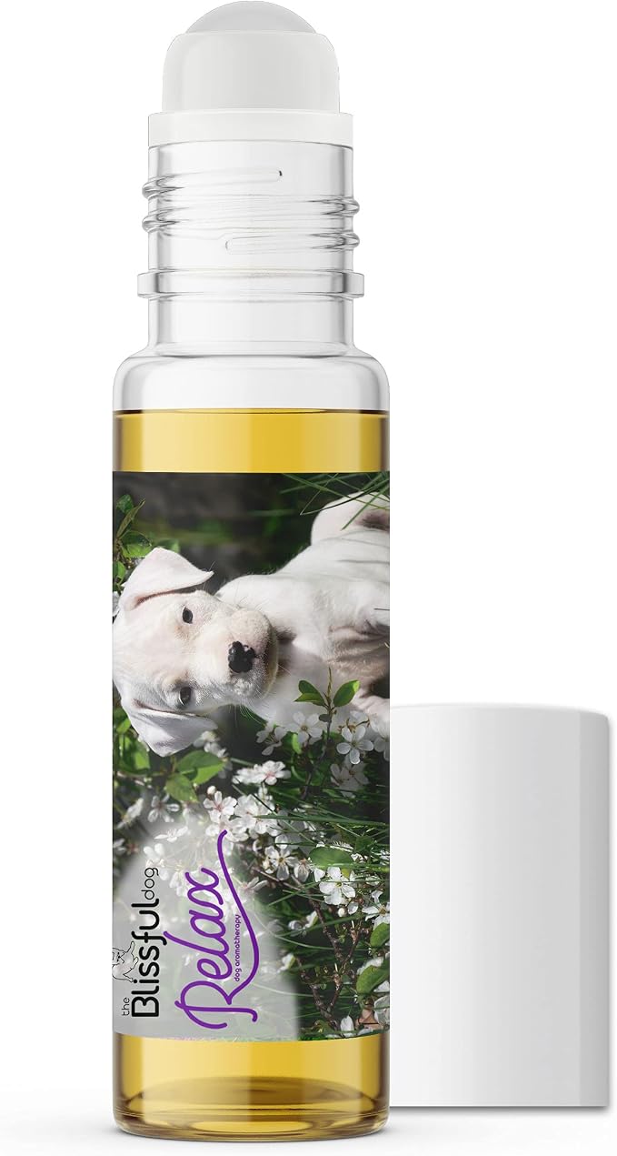 The Blissful Dog Dogo Argentino Relax Roll-ON Aromatherapy for Dogs - Anxiety Relief for Dogs