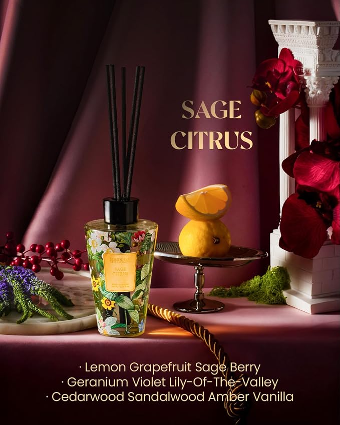 M&SENSE Sage Citrus Reed Diffuser Set - 8.79fl oz Home Fragrance Non-Toxic Essential Oil Diffuser with Sticks, Air Freshner Gifts with Long Lasting Fragrance