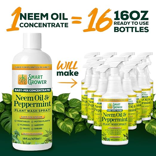 Neem Oil Spray for Plants with Peppermint Oil – for Indoor & Outdoor Plants, Gardens, & Houseplants– Best Value Refill 16 oz Concentrate Makes 2 Gallon RTU