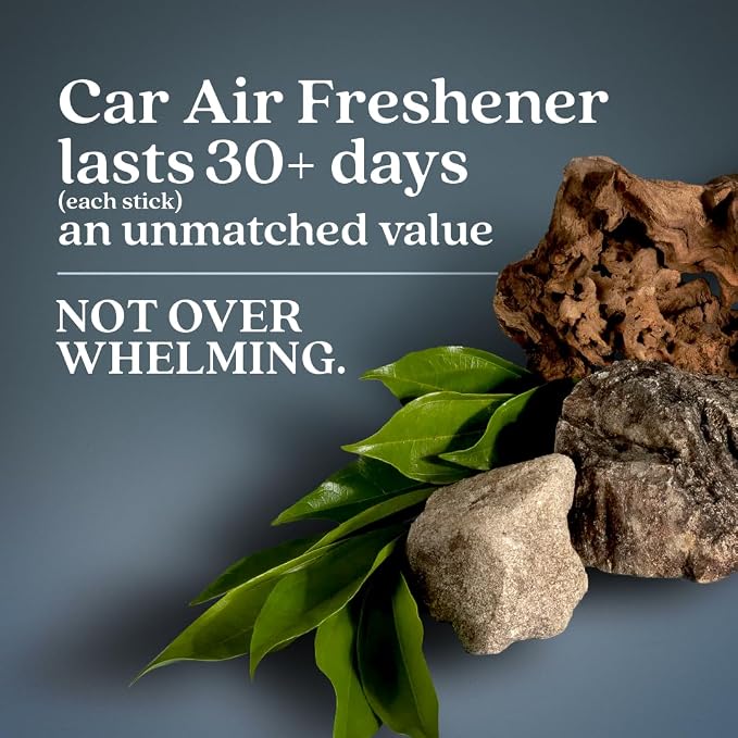 Enviroscent Non-Toxic* Car Air Freshener Auto Stix® - Scents Made Safer - Enjoy Fragrance Lasts Up to 180 Days - Includes Auto Stix® Diffusers & Elastic Loops - Coastal Storm & Teakwood (Pack of 3)