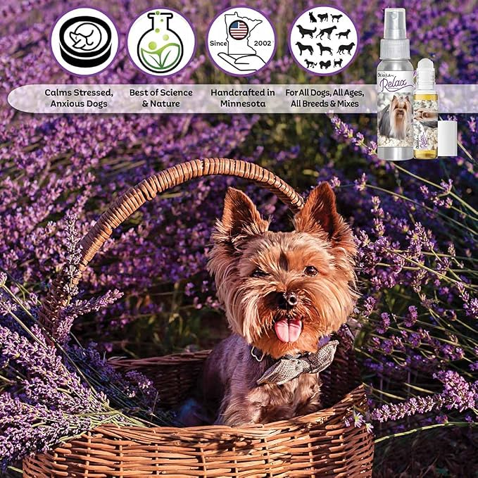 The Blissful Dog Yorkshire Terrier Relax Dog Aromatherapy Spray for Your Dog's Anxiety