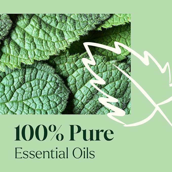 Plant Therapy Home Sparkling Peppermint Laundry Essential Oil Blend 10 mL (1/3 oz), 100% Pure & Undiluted, Fresh Minty Scent for Washer & Dryer, Natural Laundry Scent Booster
