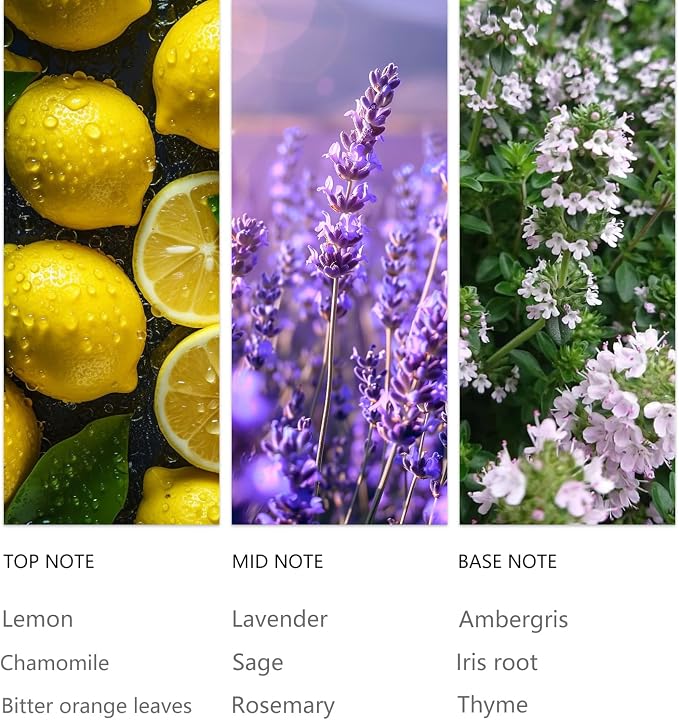 Waterless Diffuser Oil Rosemary - 20ML Sampler Scented Oils for Waterless Diffuser, Aromatherapy Essential Oil with Notes of Lavender, Sage and Amber Gris for Meditation & Deep Relaxation