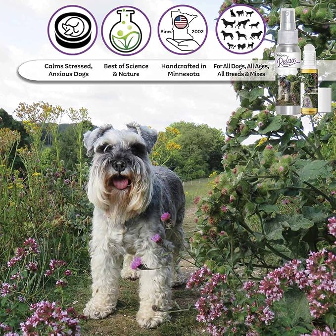 The Blissful Dog Schnauzer Relax Dog Aromatherapy Spray for Your Dog's Anxiety