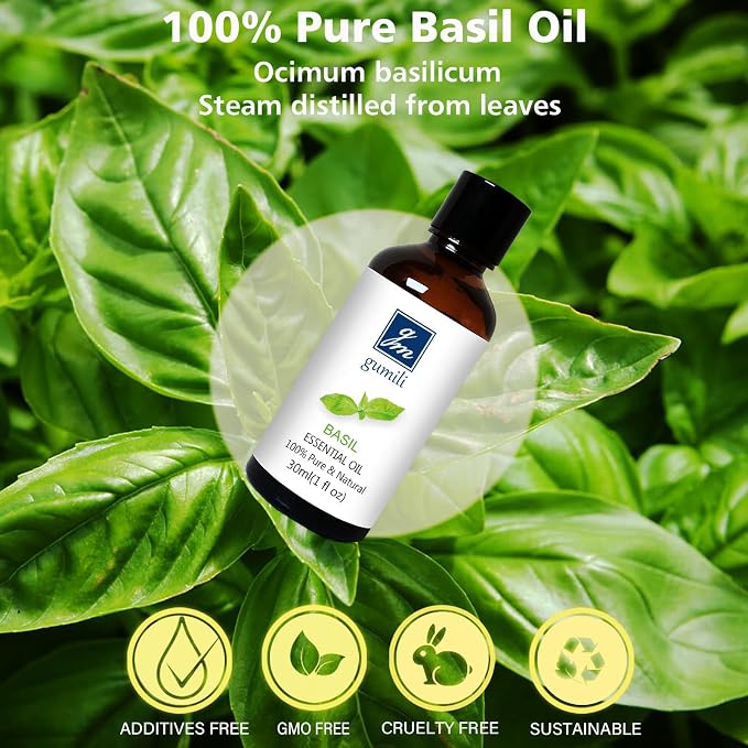 GM Gumili Basil Essential Oil 1 Oz – 100% Pure Natural Basil Oil for Diffuser, Skin, Massage & DIY, Fresh Herbaceous Aroma