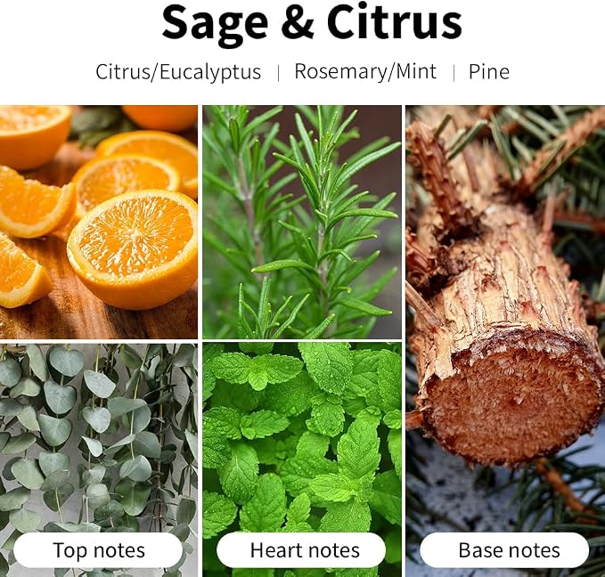 Sage and Citrus Scented Candles, 7oz Soy Wax Candle, Long Lasting Aromatherapy Jar Candle for Home, Scented Long Burning Candle Gift for Women and Men
