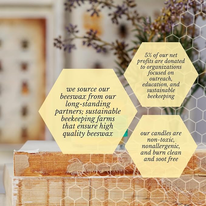 Big Dipper Wax Works Beeswax Aromatherapy Candle – Awaken, Grapefruit & Spruce, Apothecary Glass 2” x 2.5” – 25-Hour Burn, 100% Pure Beeswax with Essential Oils, Clean & Eco-Friendly