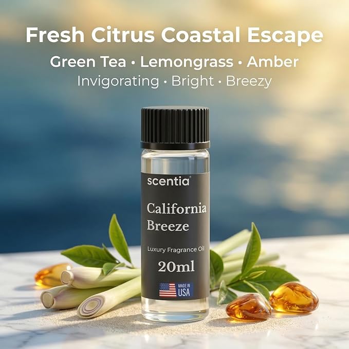 Scentia California Breeze Aromatherapy Oil for Diffuser – Hotel Scent Inspired by Delano Beach Club – 20 mL – Orange, Green Tea & Jasmine Natural Fragrance Oil for Waterless & Cold Air Diffusers