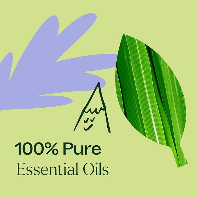 Plant Therapy Balance Essential Oil Blend 5 mL (1/6 oz) 100% Pure, Undiluted, for Women’s Health and Emotional Support