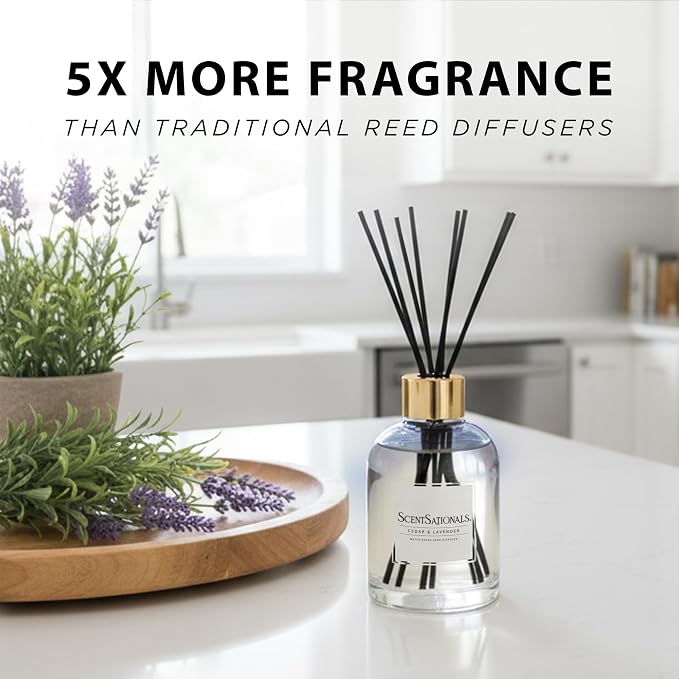 ScentSationals Water-Based Reed Diffuser - Cedar & Lavender - 5 FL OZ Aromatherapy Reed Diffuser