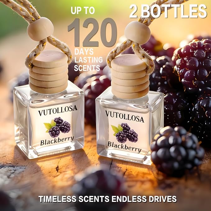 2-Pack Car Air Fresheners, Car Deodorizer, Blackberry Scented Air Freshener Long Lasting Hanging Car Air Freshener for Men and Women, Car Scent Diffuser by VUTOLLOSA