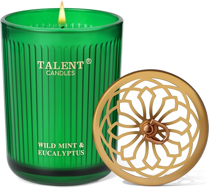 Jar Candles for Home Scented, Aromatherapy Candles Gifts for Women & Men, Natural Soy Candle, 8.4oz Traditional Style, Wild Mint & Eucalyptus