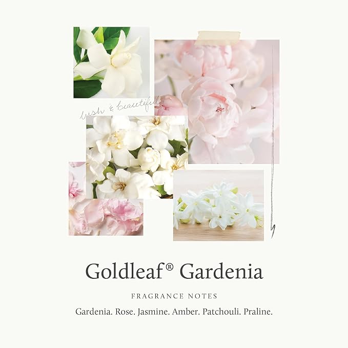 Thymes Goldleaf Gardenia Pura Smart Home Plug-in Diffuser Refills - Pack of 2