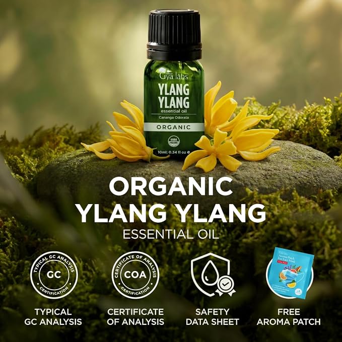 Gya Labs USDA Certified Organic Ylang Ylang Essential Oil - for Skin, Hair, Diffuser, Aromatherapy, DIY Candle Making Scents - 0.34 Fl Oz