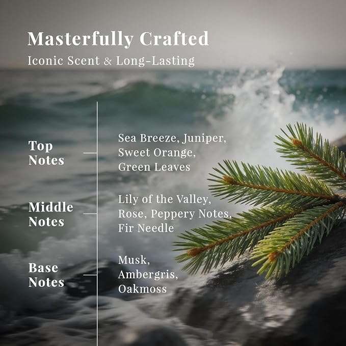 SU JUABA The R.C. Amber Zephyr Diffuser Oil Luxurious Hotel-Inspired Scent - Ambergris Sea Breeze Abies Fabri for Aromatherapy Machines & DIY Crafting - 1Fl Oz