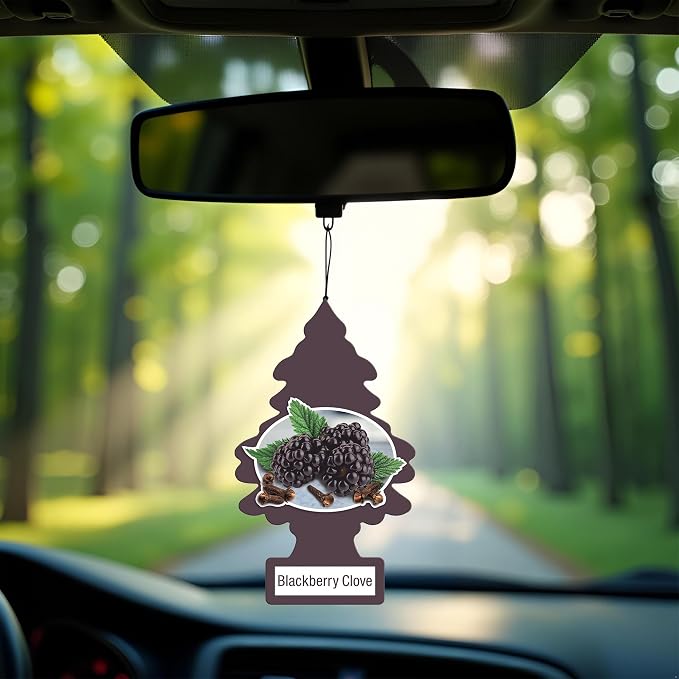 Little Trees DAS-17343 Car Air Freshener | Hanging Paper Tree for Home or Car | Blackberry Clove