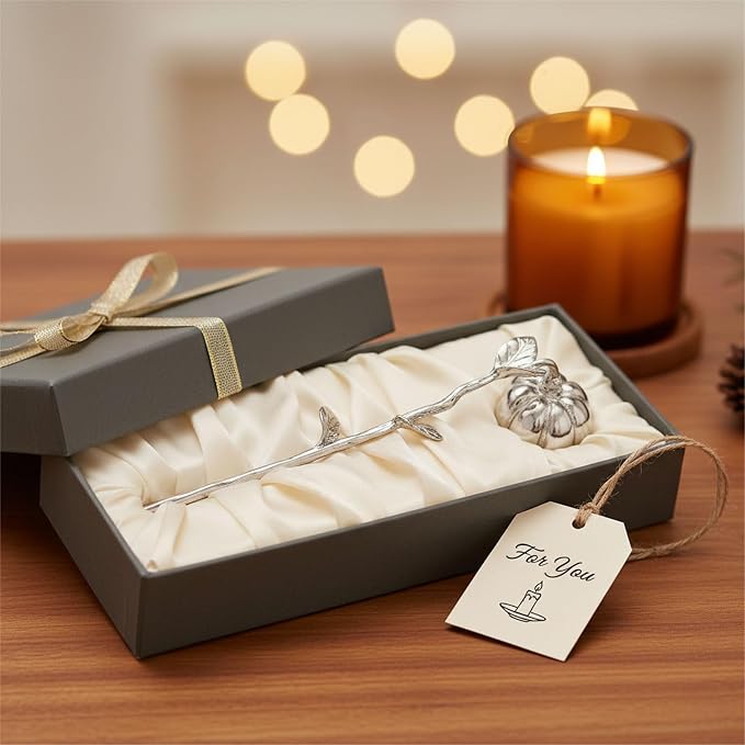 AIM & GGKK Silver Pumpkin Candle Snuffer Extinguisher - Long Handle for Safe Flame Out,Decorative Snuffers Accessory for Candle Lovers