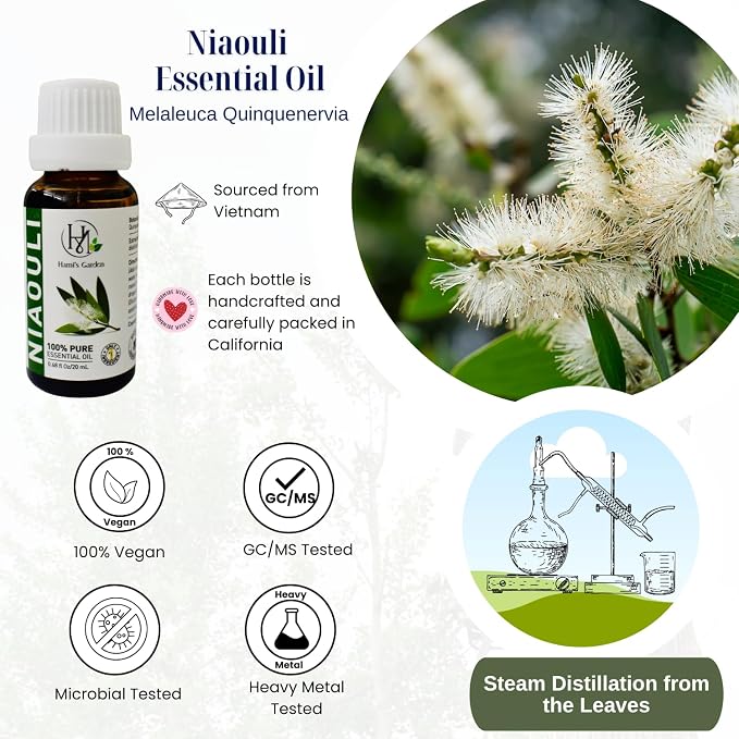 Hami’s Garden Niaouli Essential Oil – 100% Pure & Natural –Premium Grade with Glass Dropper (20mL)– for Diffuser, Skincare, and DIY Products.