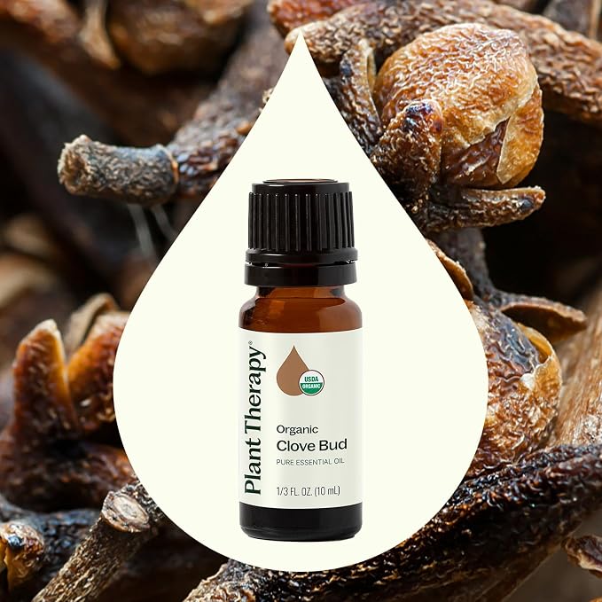 Plant Therapy Organic Clove Bud Essential Oil, 10 mL (1/3 oz), 100% Pure and Undiluted, USDA Certified Organic, Fresh and Spicy Scent, Great for Aromatherapy