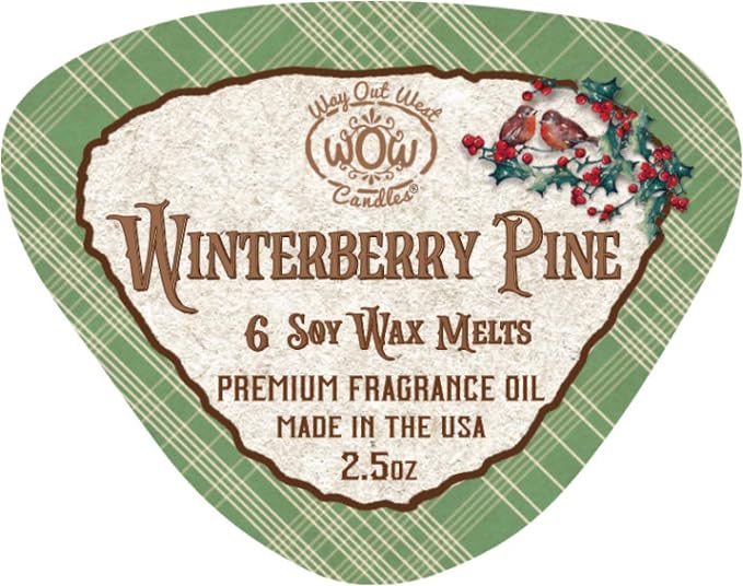 Soy Wax Melts Variety Pack of 4 – Winterberry Pine & Hot Apple Cider – Strongly Scented, Long-Lasting, Natural Soy Wax Cubes for Warmers – Christmas Home Fragrance Gift Set