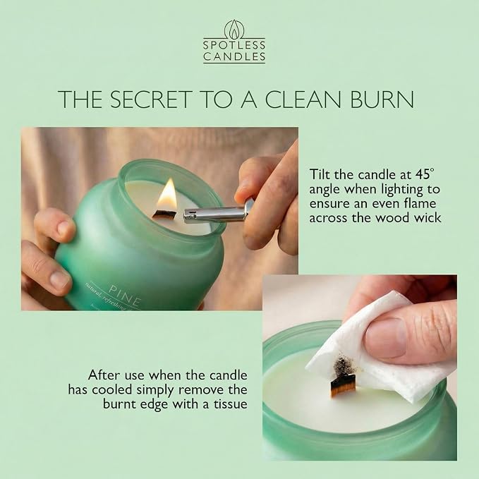 Pine Volcano Candle 19oz: 80-Hour Burn, Natural Refreshing Pine Scent, Hybrid Soy Wax, Crackling Wood Wick, Teal Matte Glass Jar, Gold Foil Gift Box by Spotless Candles