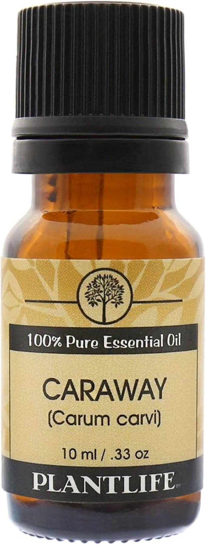 Plantlife Caraway Aromatherapy Essential Oil - Straight from The Plant 100% Pure Therapeutic Grade - No Additives or Fillers - 10 ml