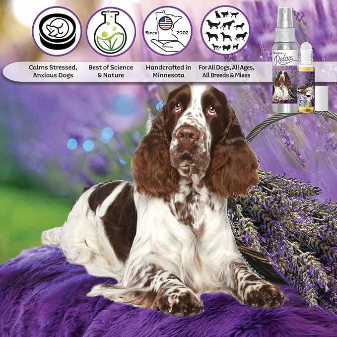 The Blissful Dog Springer Spaniel Relax Roll-ON Aromatherapy for Dogs - Anxiety Relief for Dogs