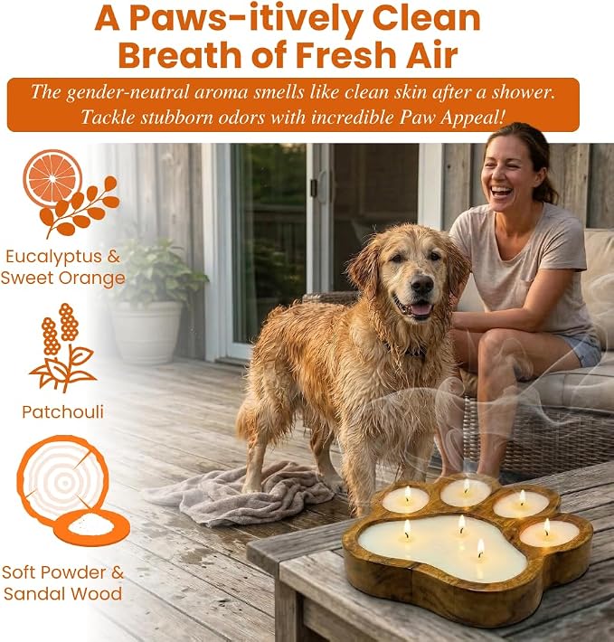 Dough Bowl Candle Co. Pet Odor Eliminator Candle - 11x11x1.5 Scented Soy Candles for Home Scented, 7 Wick Pet Odor Eliminator for Home, White Ocean Beach Decor in Paw Print Shape, Linen Fragrance