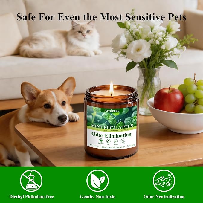 Mint Eucalyptus Odor Eliminating Candles | Eliminates 95% of Pet, Smoke, Food & Other Smells – Air Freshing Scented Candles - Gifts for Women Men, 50 Hour Burn time - 7 oz Natural Soy Wax