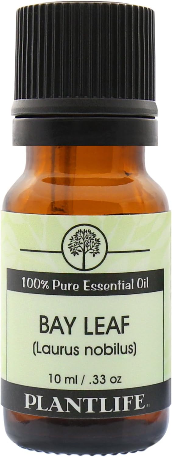 Plantlife Bay Leaf Aromatherapy Essential Oil - Straight from The Plant 100% Pure Therapeutic Grade - No Additives or Fillers - 10 ml