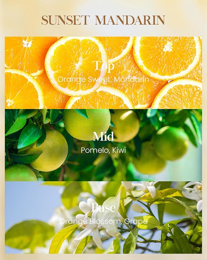 M&SENSE Sunset Mandarin Scented Candle, 35oz 3 Wick 50H, Natural Soy Large Citrus Aromatherapy Candles, Summer Kitchen & Living Room Refresh, Housewarming Gift