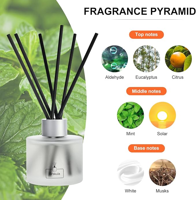 Brakula Eucalyptus & Mint Reed Diffuser Set, Home Fragrance Oil Diffuser with 8 Sticks for Room Decor, 3.4 oz/100 ml