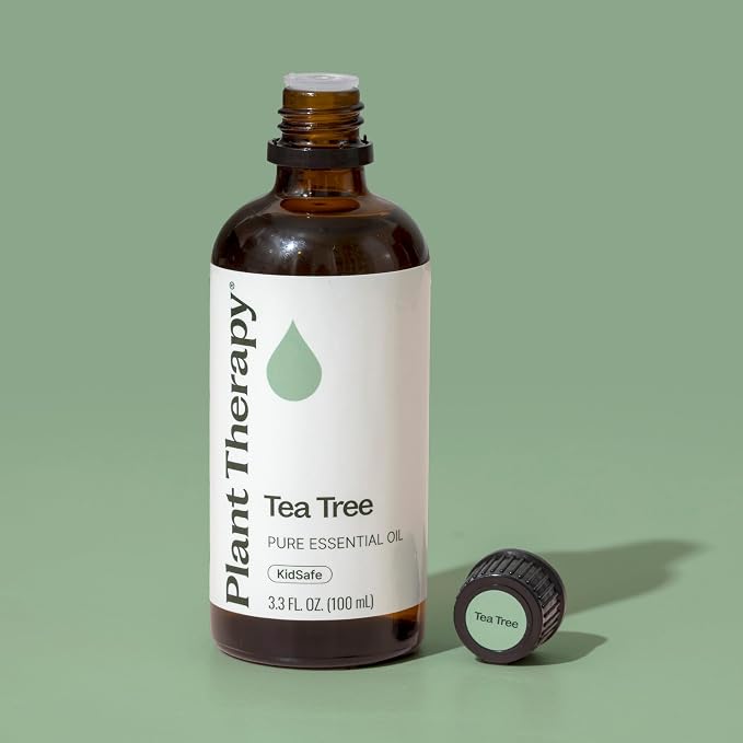 Plant Therapy Tea Tree Essential Oil, 100 mL (3.3 oz), Melaleuca alternifolia, 100% Pure and Undiluted, Natural Aromatherapy for Skin, Hair & Home