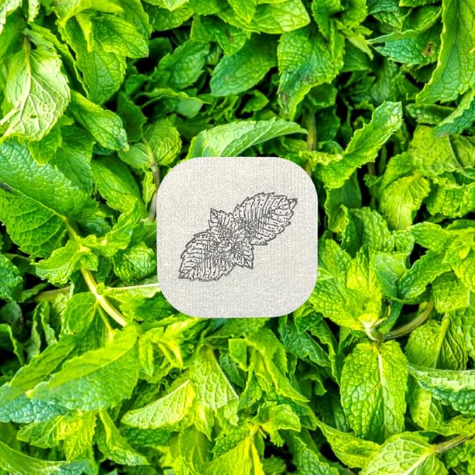 AROMA STICKERS® (Spearmint, Pack of 1) - 100% Natural Essential Oil Scented Mask Stickers for Face Mask & Pillow (12 Stickers/pc) -Pure Essential Oil Scented Mask Patch/Personal Aroma/Relaxing