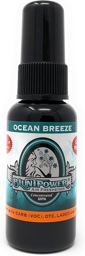 BluntPower (Ocean Breeze, 1 Pack) Concentrated Air Freshener for Room and Car Spray - Oil-Based Diffuser Spray Bottle - Long-Lasting Bathroom Spray, Car Freshener, & Odor Eliminator Spray