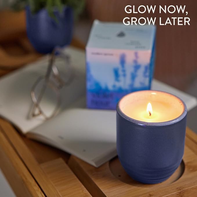 Modern Sprout Garden Vibes - 6 Oz Soy Candle Planter - Violet Hour - 2-Pack | 2 in 1 Soy Candles-6 oz w/40-hr burn; Lavender, Grape Soda, Wild Iris, Violet - Reusable Ceramic Vessel as a Lavender Planter