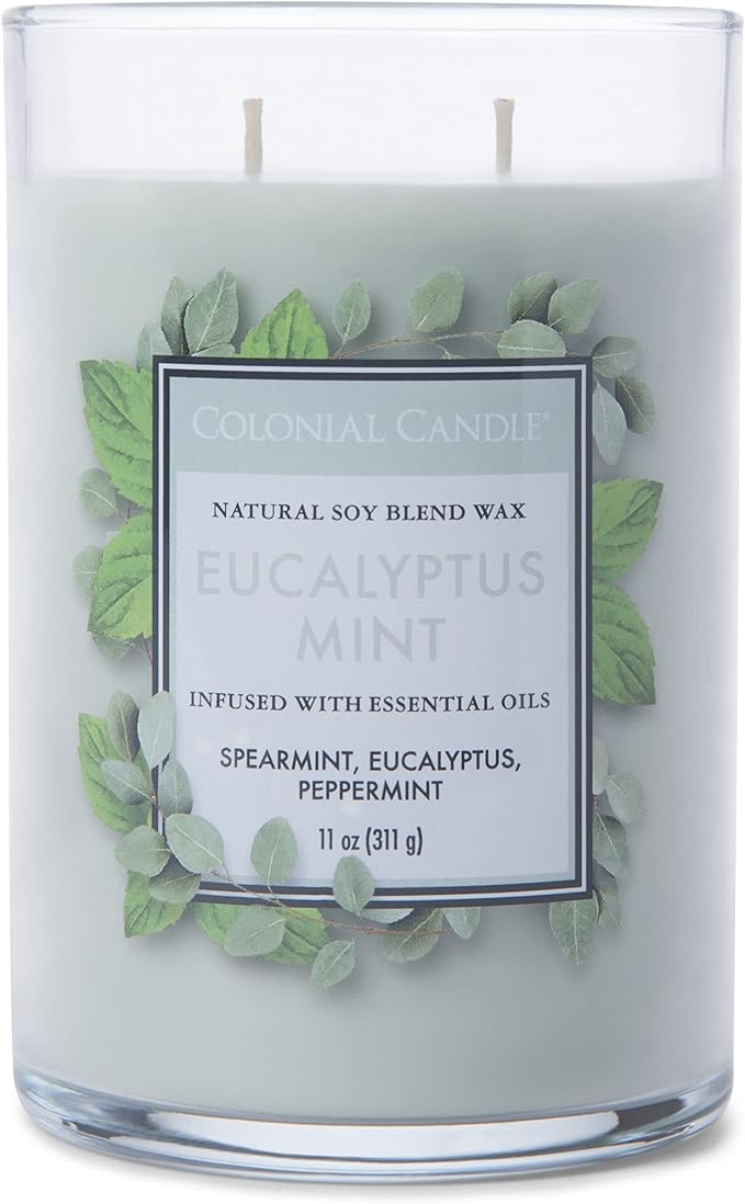 Colonial Candle Eucalyptus Mint Scented Jar Candle, Classic Cylinders Collection, 2 Wick, Green, 11 oz - Up to 80 Hours Burn