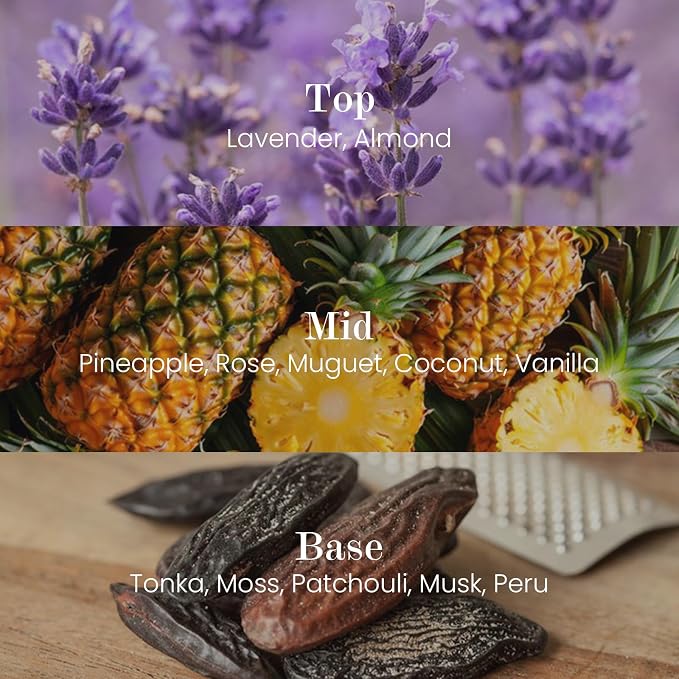 M&SENSE Natural Soy Large Candle| Lavender Vanilla | 16.6 oz, 95H Burn | Mini Spring Scented Candles for Relaxation, Meditation, Home Décor | for Bedroom, Office, Party